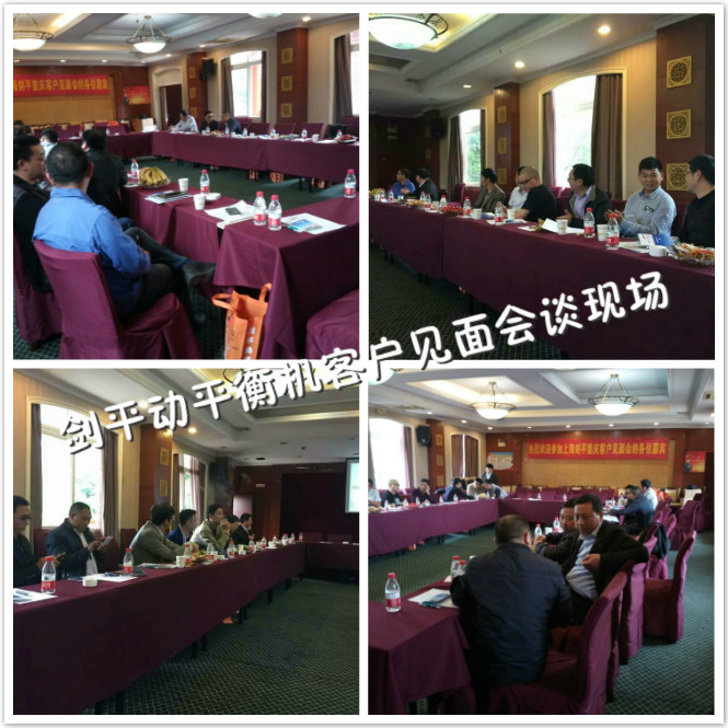 劍平動平衡機(jī)會談現(xiàn)場